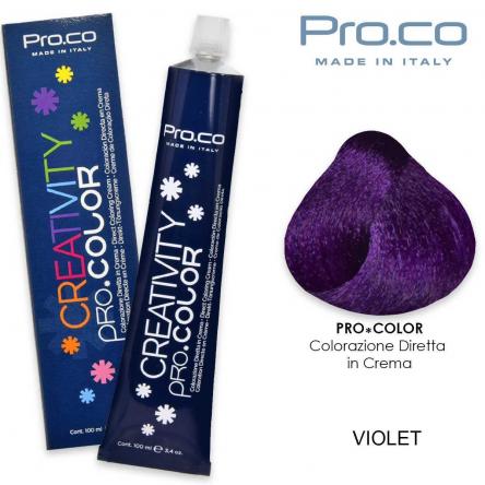 Creativity pro.color 100ml violet